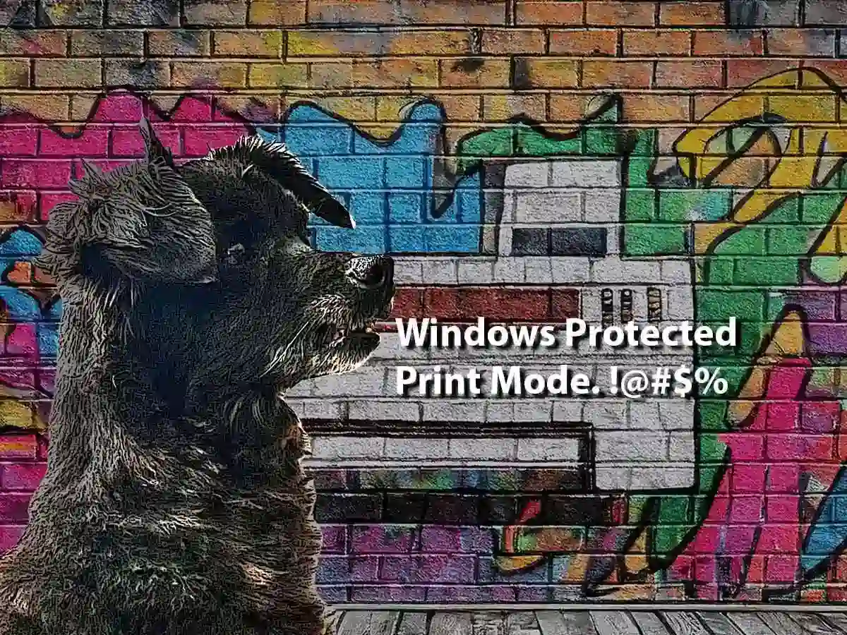 Windows Protected Print Mode