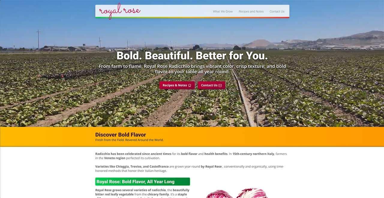 Royal Rose Radicchio